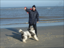 Schleuderball am Strand