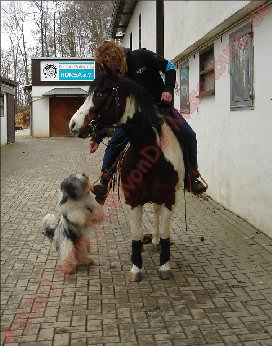 Jule setzt zum Sprung an